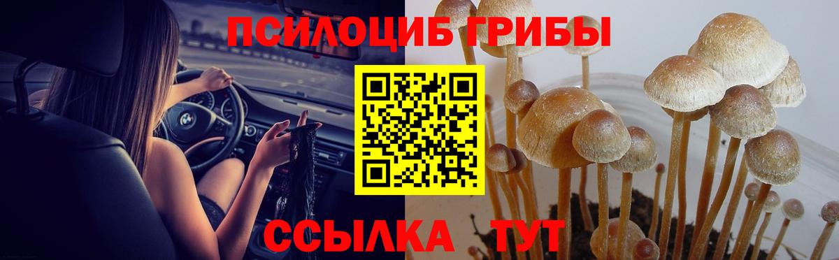 Алексеевка  Псилоцибиновые грибы мицелий  Вход с VPN 
